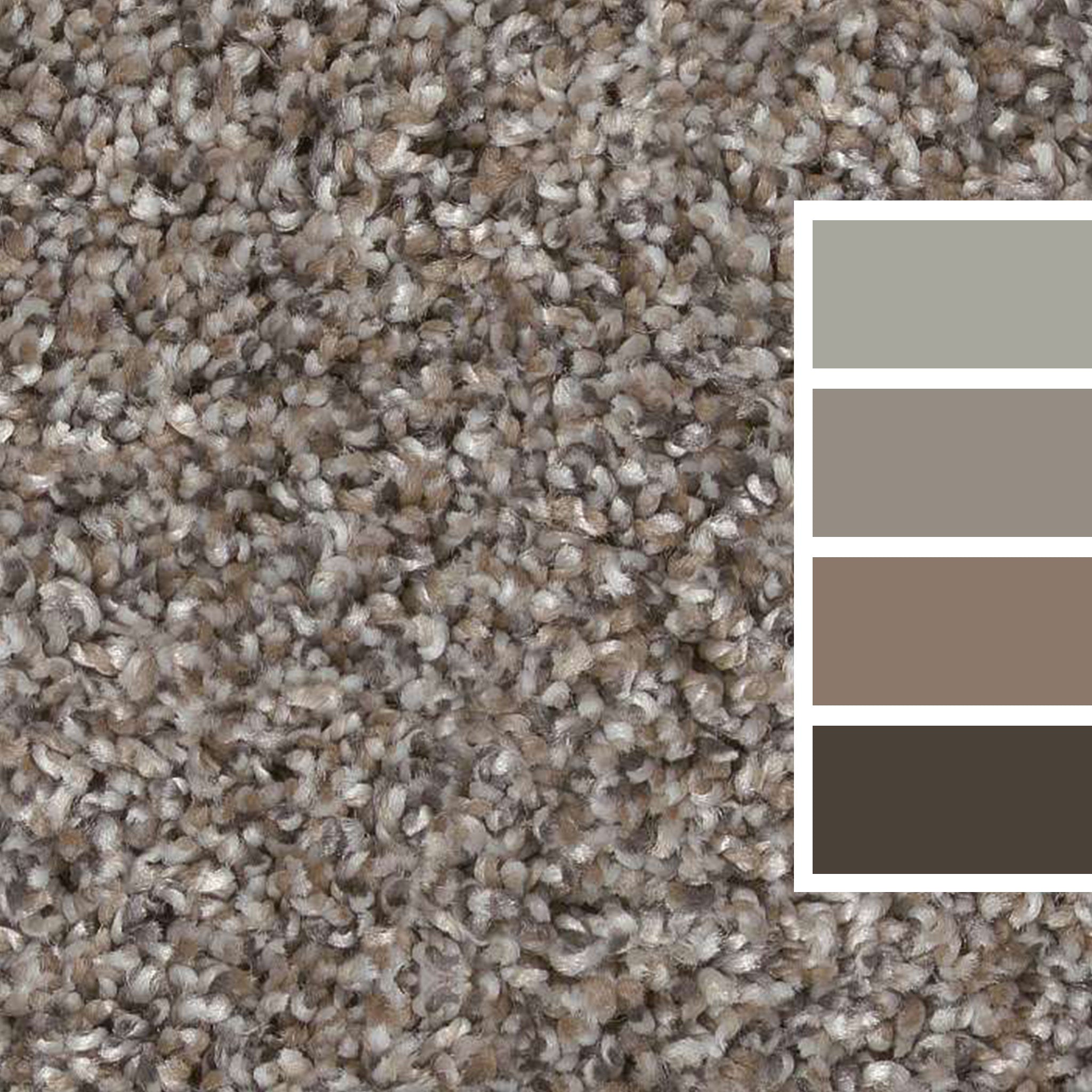 Chic Greige Shaw Pet Perfect Plus Yes You Can I Carpet from Calhoun's Flooring Springfield IL Swatch Colors
