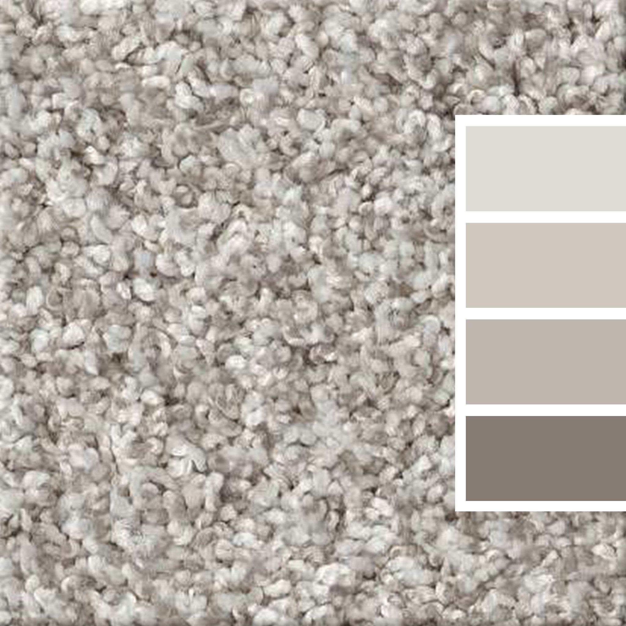 Frozen Shaw Pet Perfect Plus Yes You Can I Carpet from Calhoun's Flooring Springfield IL Color Swatch