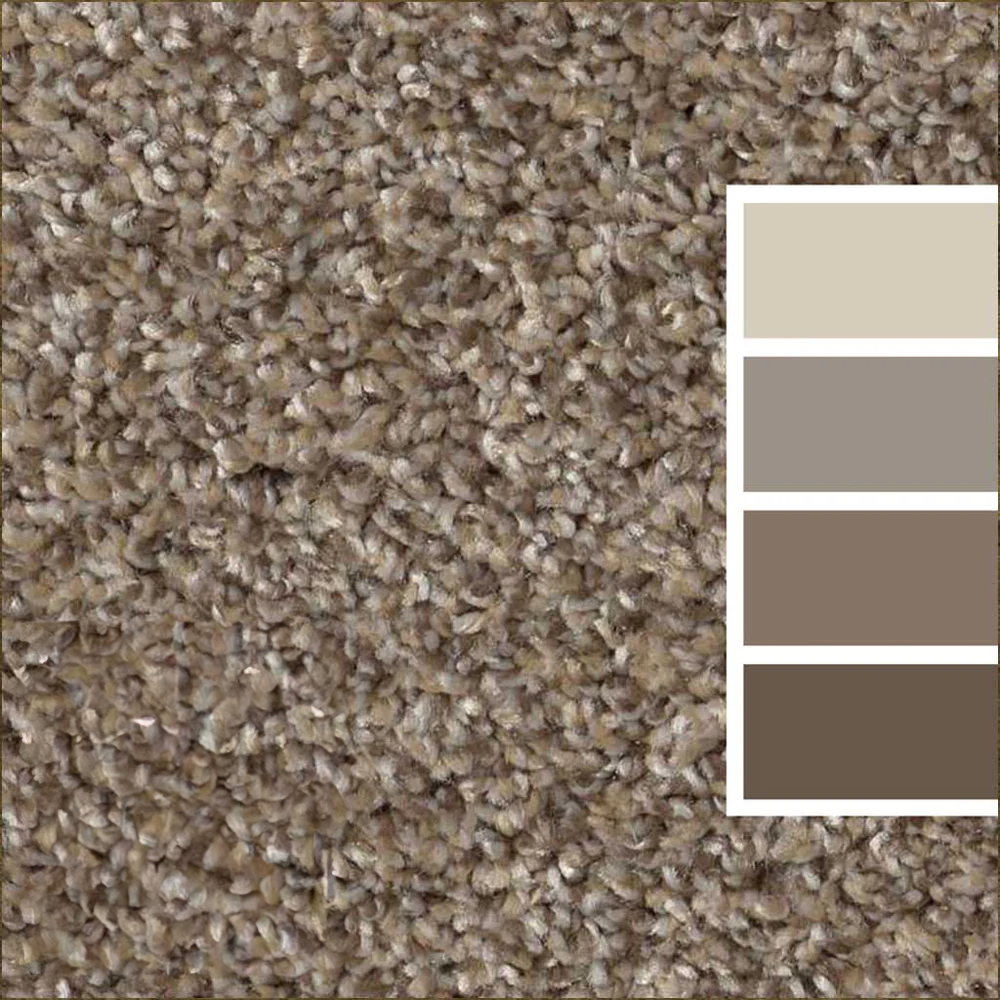 Hearth Stone Waterproof Carpet Pet Perfect Plus by Shaw, Calhoun's Flooring Springfield IL 