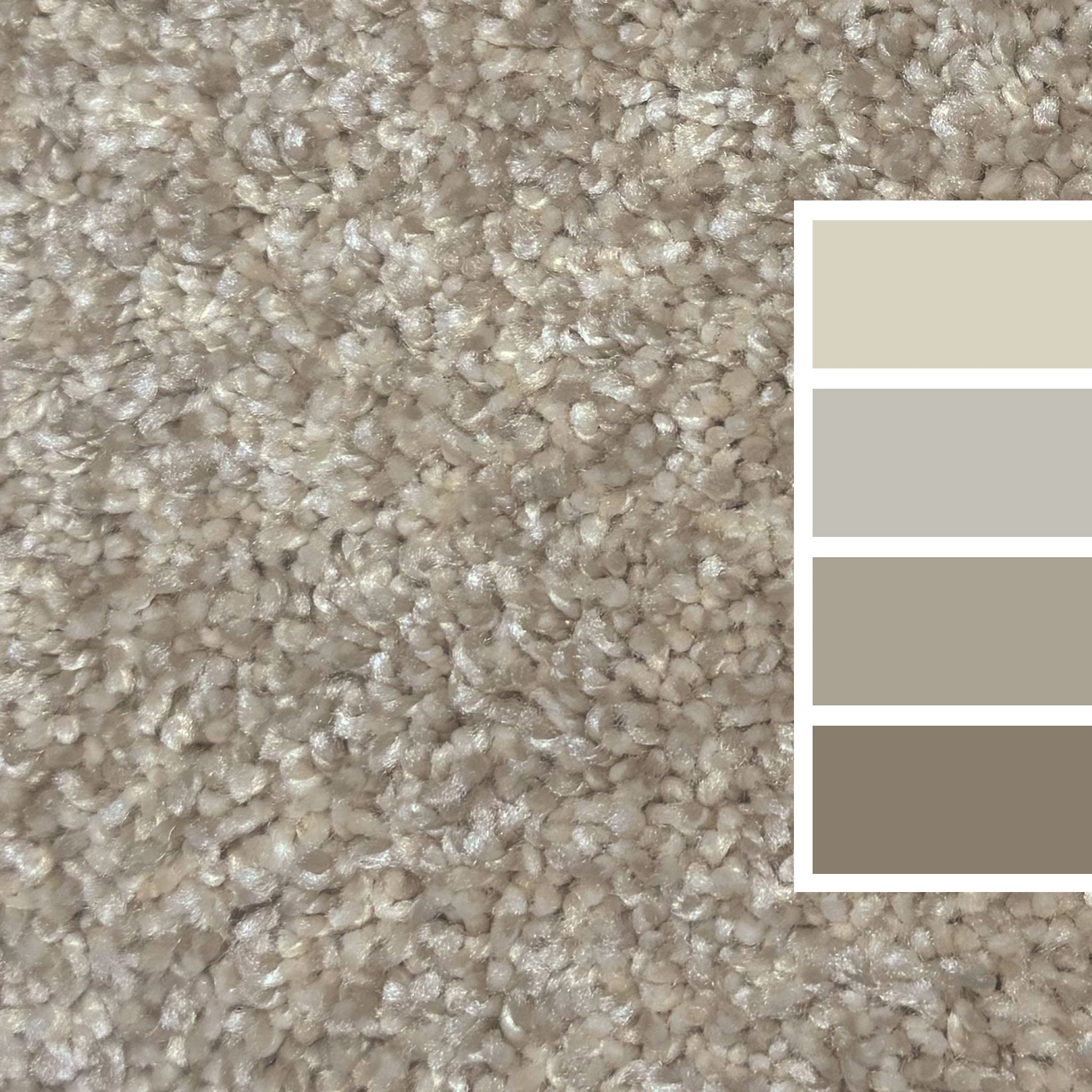 Nimbus, Gold Standard III, Carpet by Dreamweaver, Calhoun's Flooring Springfield, IL Color Swatch