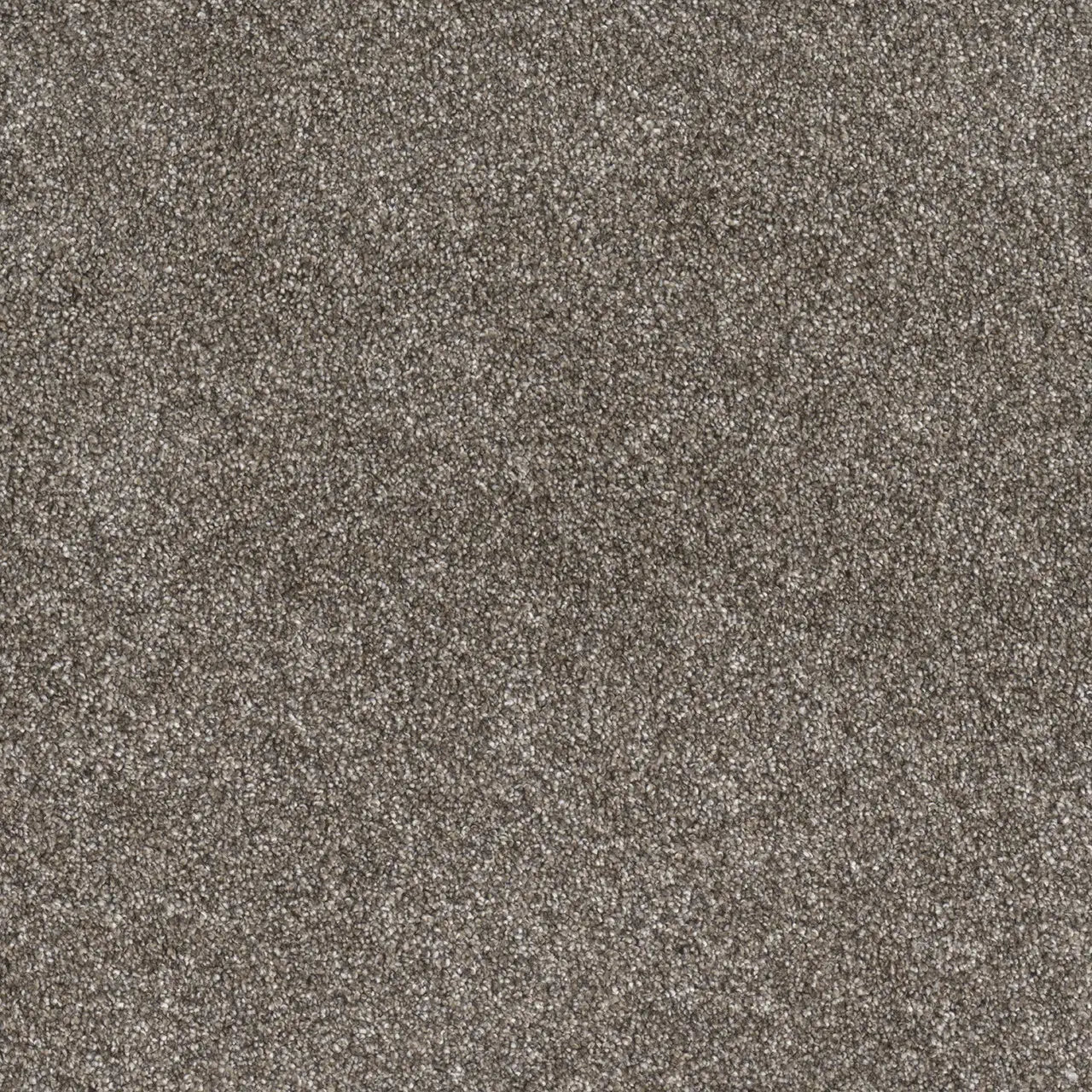 Pewter, Gold Standard III, Carpet by Dreamweaver, Calhoun's Flooring Springfield, IL