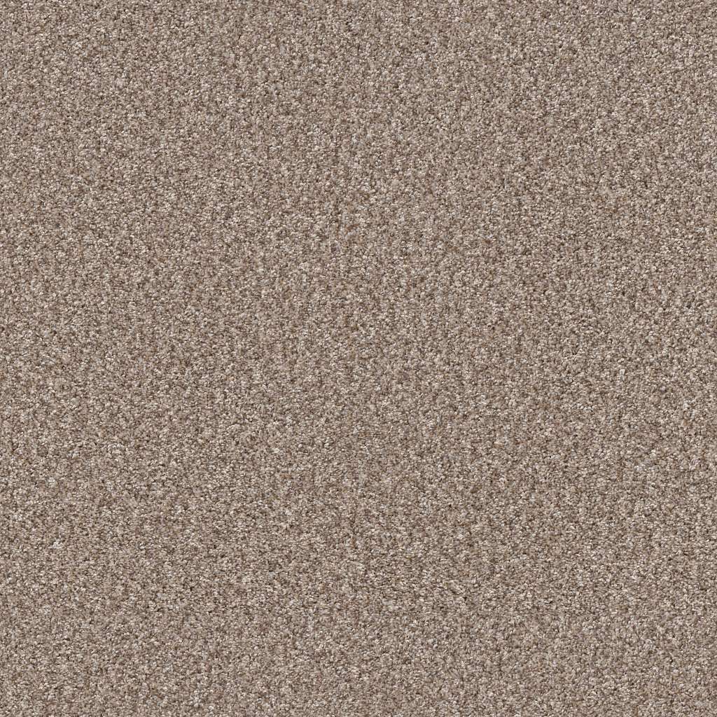 Glacier Shaw Pet Perfect Yes You Can II Carpet from Calhoun's